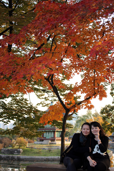 [Gyeongbok palace]경복궁