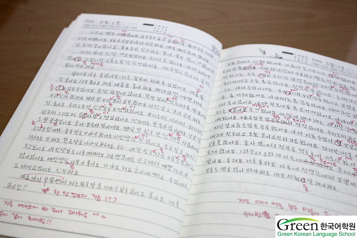 [Diary in Korean]일기쓰...