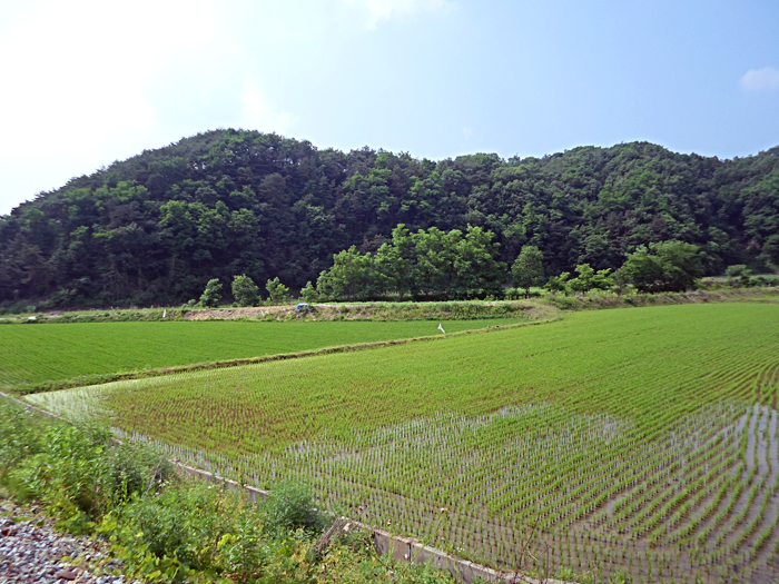 [Rail Bike]레일바이크