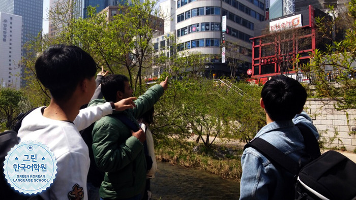 [Cheonggyecheon] 점심식사 & 청계천 산책을 즐겨요~♬