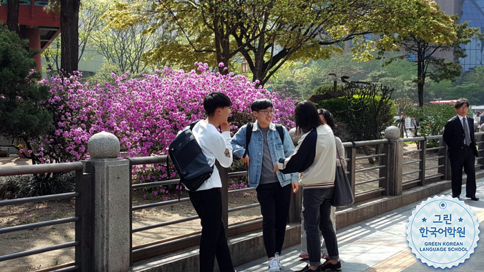 [Cheonggyecheon] 점심식사 & 청계천 산책을 즐겨요~♬