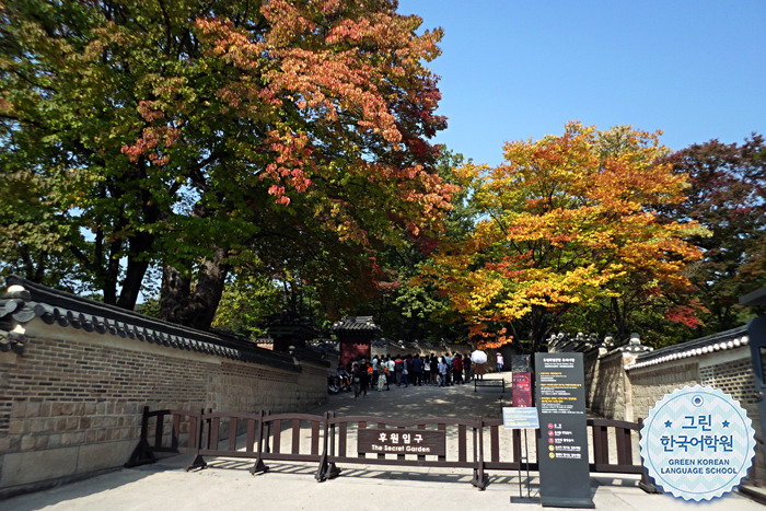 [Changdeokgung Palace & Secret Garden] 창덕궁 후원에 다녀왔어요.