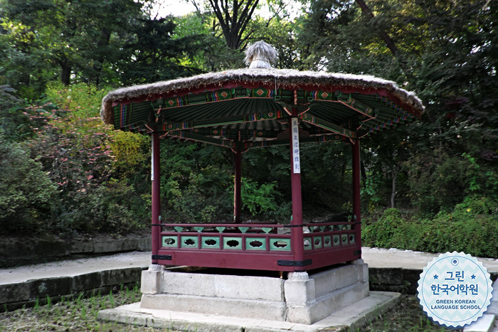 [Changdeokgung Palace & Secret Garden] 창덕궁 후원에 다녀왔어요.