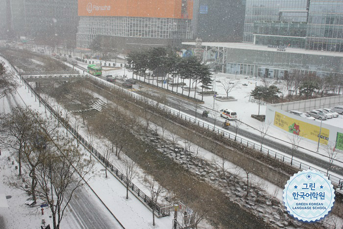 [Snowing] 아침에 눈이 펑펑 왔어요~