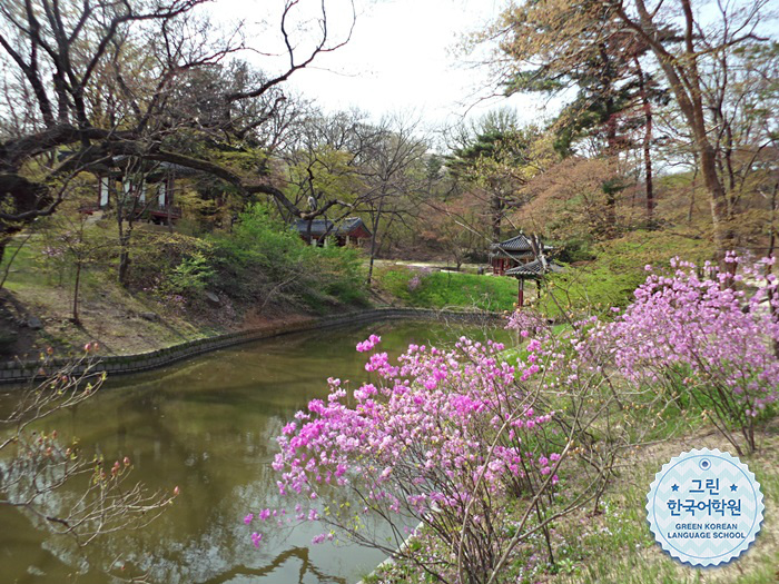 [April Activity] 창덕궁 후원에서 산책했어요~☆